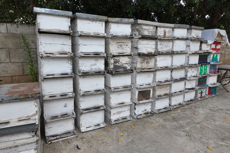 تجهيز صناديق الخلايا لإنتاج خلايا نحل جديدة لتعويض ما دمرته الحرب (الجزيرة)