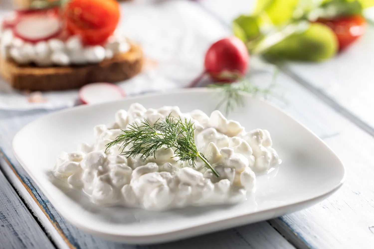 A plate of cottage cheese garnished with dill with radishes and a slice of bread with toppings in the background