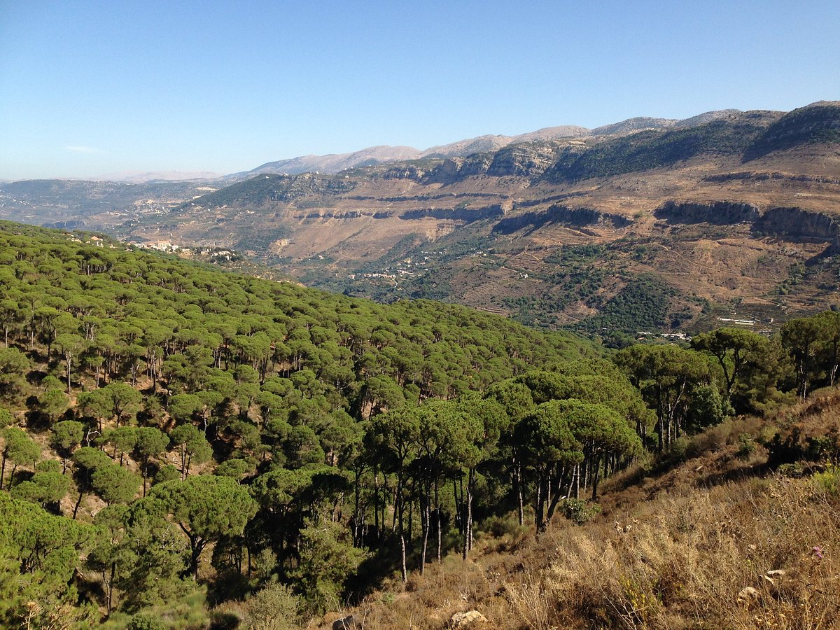 تعليقات حول Bkassine Pine Forest - جزين, لبنان - Tripadvisor